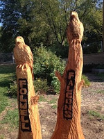 Folwell Volunteer Opportunities